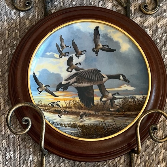 Vintage plates featuring geese. Perfect for bird collectors. Smythe frames. - Picture 2 of 8